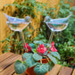 Self-Watering Plant Glass Bulbs