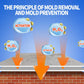 🏠⏳50% off for a limited time⏰Highly effective mold remover spray