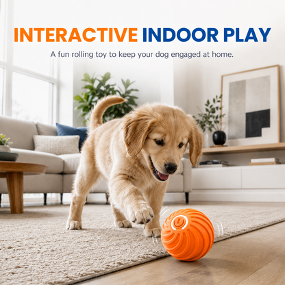 🏆Limited Time Sale 49% OFF 🐶🐾Smart Interactive Bouncing Ball