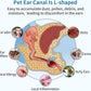 Gentle Pet Ear Cleaner Solution