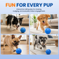 🏆Limited Time Sale 49% OFF 🐶🐾Smart Interactive Bouncing Ball