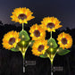 🌻 60% OFF FLASH SALE ! Sunflower Solar Lights – Glowing Decor for Garden ✨🌿【Hurry Up】