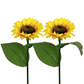 🌻 60% OFF FLASH SALE ! Sunflower Solar Lights – Glowing Decor for Garden ✨🌿【Hurry Up】