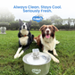 Wireless, plug-free, automatic water sensor pet drinking machine for cats and dogs. Continuous circulating fresh water intelligent drinking machine.