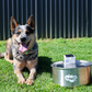 Wireless, plug-free, automatic water sensor pet drinking machine for cats and dogs. Continuous circulating fresh water intelligent drinking machine.