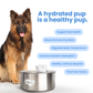 Wireless, plug-free, automatic water sensor pet drinking machine for cats and dogs. Continuous circulating fresh water intelligent drinking machine.
