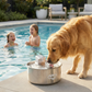 Wireless, plug-free, automatic water sensor pet drinking machine for cats and dogs. Continuous circulating fresh water intelligent drinking machine.