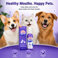 Pet Oral Cleanse Spray for Dogs & Cats – Fresh Breath, Plaque Support & Easy Daily Oral Care-ASS1
