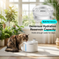 Wireless,  automatic water sensor pet drinking machine for cats and dogs. Continuous circulating fresh water intelligent drinking machine.