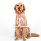 Transparent Raincoat For Dog
