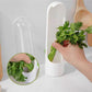 🔥Hot Sale - 49% OFF🔥Fresh Herb Keeper Container🥬🥦