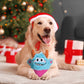 🎅Pet Gift🎅 Plush Squeaky Toy For Dog
