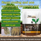 🔥Hot Sales - 49% OFF🎉Strong Rooting Powder Microbial Fertilizer