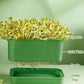 🔥Buy 3 Get 1 Free🔥Stackable Bean Sprout Growing Box