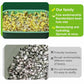 🔥Buy 3 Get 1 Free🔥Stackable Bean Sprout Growing Box