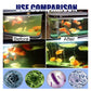 🎉Buy 1 Get 1 Free🎉Fish Ponds Aquariums Chlorine Removal Tablets