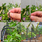 🔥Summer Promotion 50% OFF -🚿360° Curved Garden Automatic Irrigation System