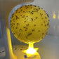 🚫🪰🦟Sticky Fruit Fly Trap Ball with Stand & LED