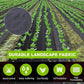 🌿 50% OFF NOW! 🧵 Weed Control Fabric – Blocks Sunlight, Breathable & Perfect for Garden Beds & Pathways 📉
