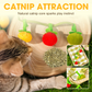 Interactive Fruit-Shaped Catnip Toy String