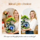 Indoor Tabletop Rockery Waterfall Fountain Ornament