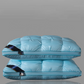 🥳 2026 HOT SALE 🥳 💞 Washable ergonomic neck pillow – Breathable and soft with 3D stitching.