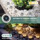 💡 50% OFF NOW! 🥳 2‑Pack Solar Path Lights – 8‑10hrs light & dusk‑to‑dawn – Durable & weather‑resistant – perfect for safe, lit gardens 🌿✨🏡