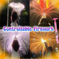 🔫 Firework Water
