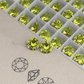 Stud Earrings for Men & Women