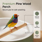 Electric Bird Bath with Shower & Perch