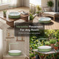 Electric Bird Bath with Shower & Perch