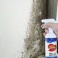 🔥HOT SALE 49% OFF✨Wallform remover spray