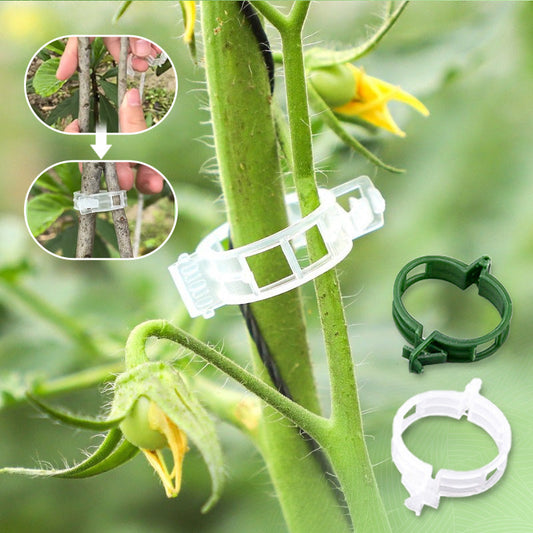 🔥🔥🌱Summer Promotion 50%OFF — Secured Plastic Plant Clips🔥🔥