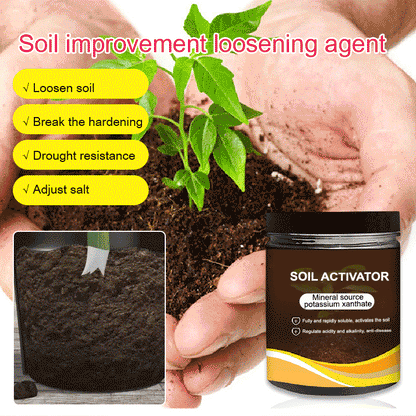 🔥Hot Sale🔥Soil Activated Treasure-You Will Be Amazed!