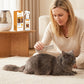 Pet Deodorizing & Detangling Spray