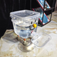 ⏳🔥LIMITED-TIME 50% OFF! ⏰Pet Water Dispenser with Large Capacity