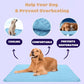 ⏳🔥LIMITED-TIME 50% OFF! 🐶 Dog Cooling Mat – 4x More Effective Cooling for Hot Summer Days ❄️✨