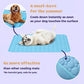 ⏳🔥LIMITED-TIME 50% OFF! 🐶 Dog Cooling Mat – 4x More Effective Cooling for Hot Summer Days ❄️✨