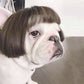 🐱LAST DAY SALE: ONLY ￡9.99!!🎁✨Funny Pet Wig Set