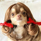 🐱LAST DAY SALE: ONLY ￡9.99!!🎁✨Funny Pet Wig Set
