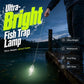 🐟Ultra-Bright Fish Trap Lamp