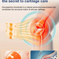 Universal Moxibustion Plaster Patch for Whole Body