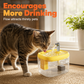 Silent Pet Drinking Dispenser with Food-Grade PET Bowl