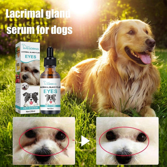🔥BUY 1 GET 1 FREE🐱🐶Pet Eye Cleaner & Drops – Gentle pH‑balanced formula, safe for dogs & cats. Soothes redness, removes tear stains & daily dirt. No peroxide! 🌿💧
