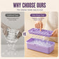 Press-Type Ice Cube Mold with Storage Box and Lid