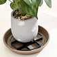 💥Root-Saving Pot Riser – elevates planters, promotes airflow, keeps floors clean – for indoor & outdoor use. 🔥🏠