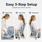 🪑55% OFF NOW! ✨Ergonomic memory foam seat cushion with back support