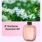 2026 HOT SALE🥳Freshen Any Room Instantly! No-Cord Timed Aroma Diffuser