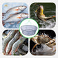 🎣 Collapsible Fishing Lift Net with Retrieval Rope