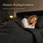 🛏️Winter Essentials - 60% OFF✨ 3-Piece Quilted Comforter Set – Soft Microfiber Duvet with Pillowcases